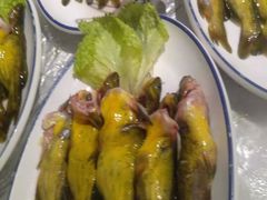 -邵年鸽(杨庄店)