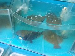 -日照大牌檔•小船海鲜(万平口店)