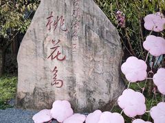 -金鸡湖桃花岛