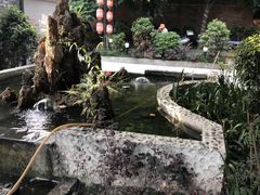 -好汉锅园林秘制老火锅 柴火霸王鸡(金沙店)