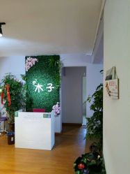 -木子沙龙