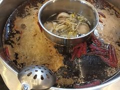-肥龙火锅(南坪店)