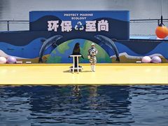 -秦皇岛乐岛海洋王国