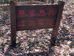 -上海佘山国家森林公园天马山园