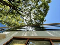 -肥朵食堂(带梦胡同店)