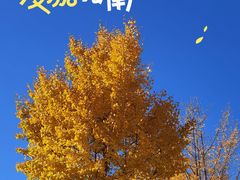 -金州副都统衙门博物馆