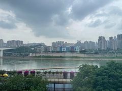 -李子坝梁山鸡(李子坝大鸡哥店)