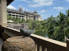 -海南清水湾莱佛士酒店