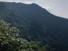-东天目山风景区