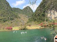 -靖西鹅泉风景区