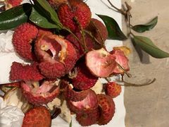 -广州粤海喜来登酒店