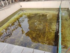 -钰田大院·碳烤虹鳟鱼·怀柔地道农家菜(雁栖湖店)