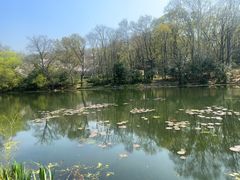 -灵谷景区