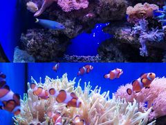 -杭州长乔极地海洋公园