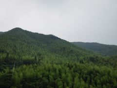 -山沟沟景区