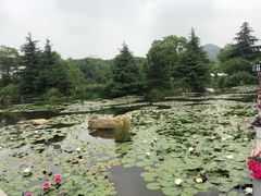 -白马涧龙池景区