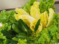 -食潮汕头鲜牛馆(望京保利店)