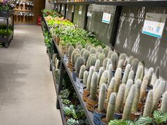 -鹿岛会员店 (龙湖三千集天街店)