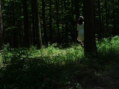 -日照海滨国家森林公园