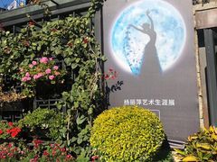 -南诏风情岛