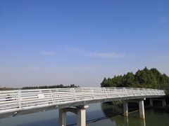 -贡湖湾湿地公园