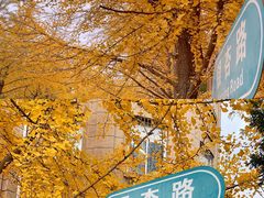 -辽宁大学(崇山校区)