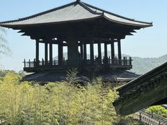 -大唐贡茶院