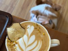 桂花雪梨拿铁-邮葭