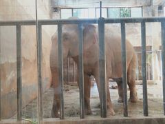 -石家庄市动物园