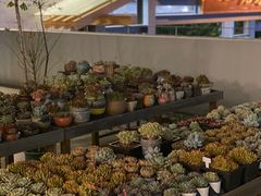 -禾气食店