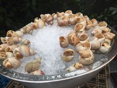 -宁波威斯汀酒店