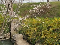 -羊山湖公园