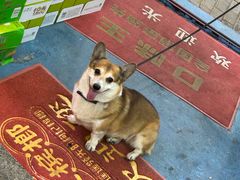 -盒马鲜生(南门口1662店)