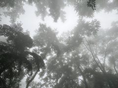 -武当山风景区