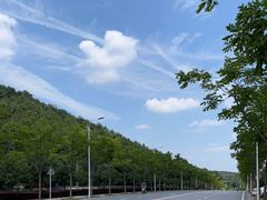 -青龙山国家森林公园