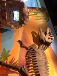 -北京科学中心儿童乐园