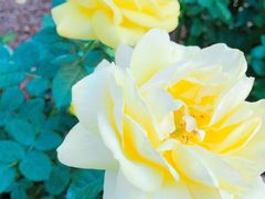 -人民公园(罗湖区)