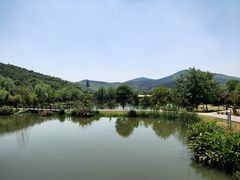 -石塘人家