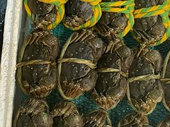 -有腥气私房菜·寻味顺德