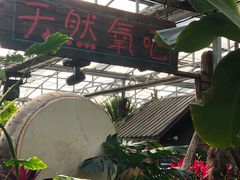 -呀路古热带植物园