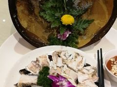鱟魚-榕树下海鲜馆(坪山路店)