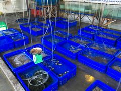 -幸福姐海鲜大排档