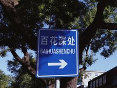 -百花深处胡同