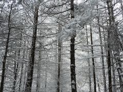-秦岭风景区