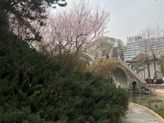 -团结湖公园