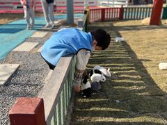 -合肥滨湖国家森林公园