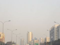-渝之汇牛肉豌杂面