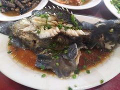 -板桥海鲜广场11排2号