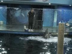 -苏州海洋馆