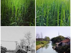 -嘉北郊野公园